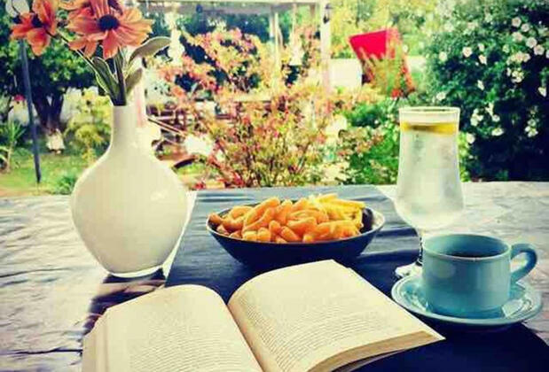 Gölge'nin Bahçesi (Golge's Garden) - Görsel 17