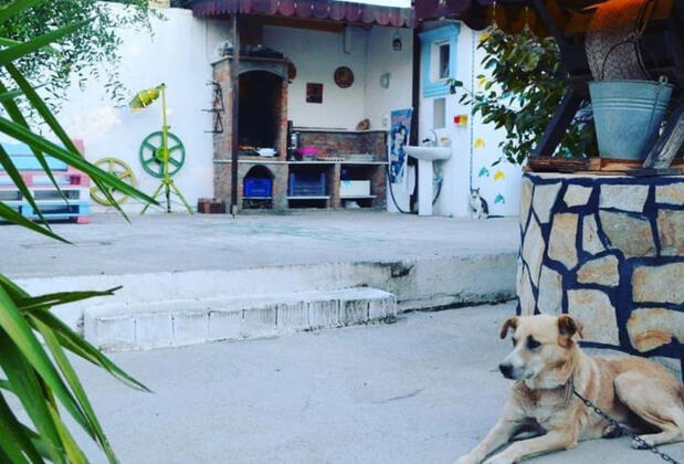 Gölge'nin Bahçesi (Golge's Garden) - Görsel 3