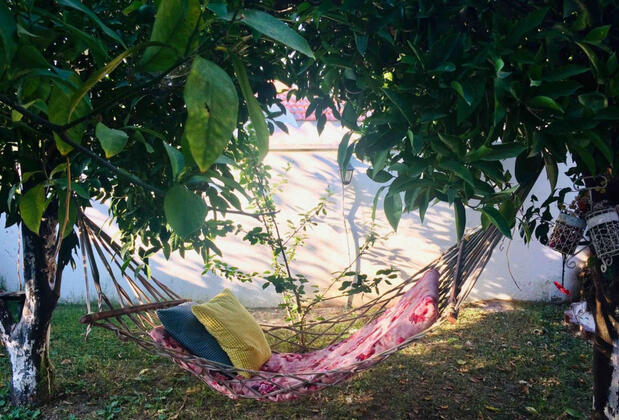 Gölge'nin Bahçesi (Golge's Garden) - Görsel 5