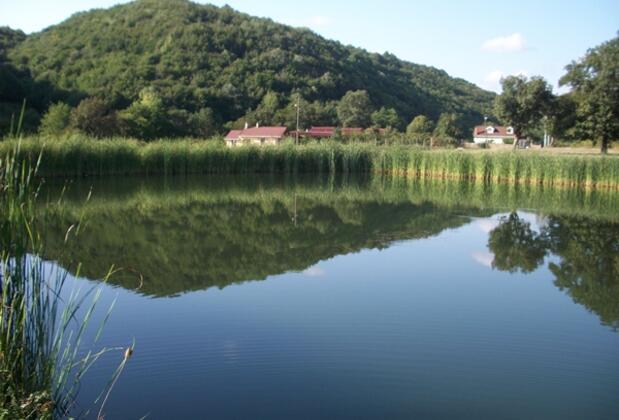 Ağva Tree House - Görsel 14