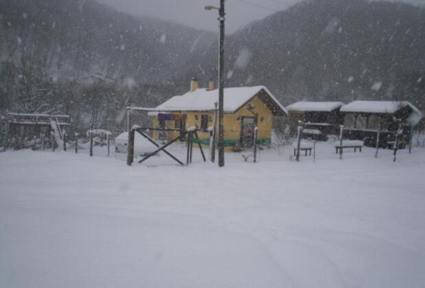 Ağva Tree House - Görsel 3