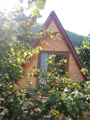 Ağva Tree House - Görsel 11