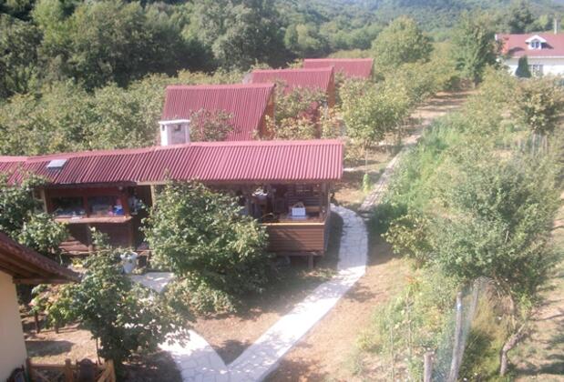 Ağva Tree House - Görsel 12