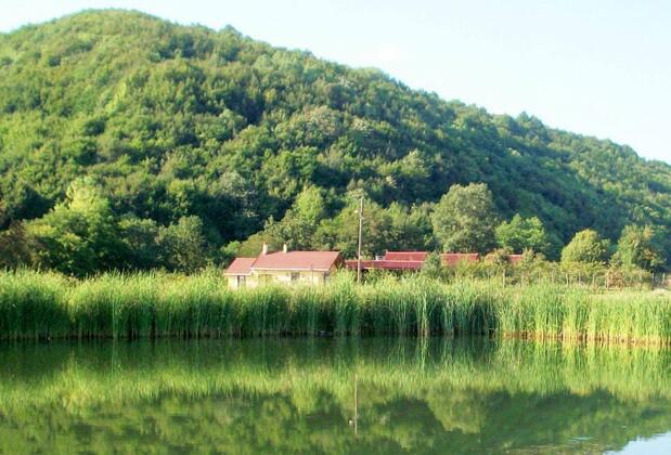 Ağva Tree House - Görsel 5