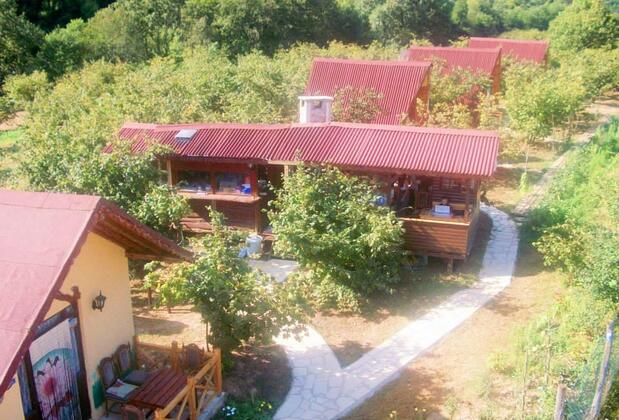 Ağva Tree House - Görsel 13
