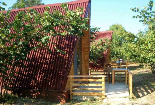 Ağva Tree House - Görsel 10