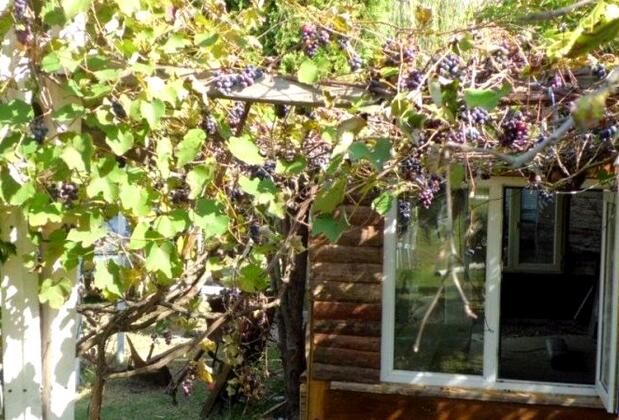 Güner Hotel - Görsel 8