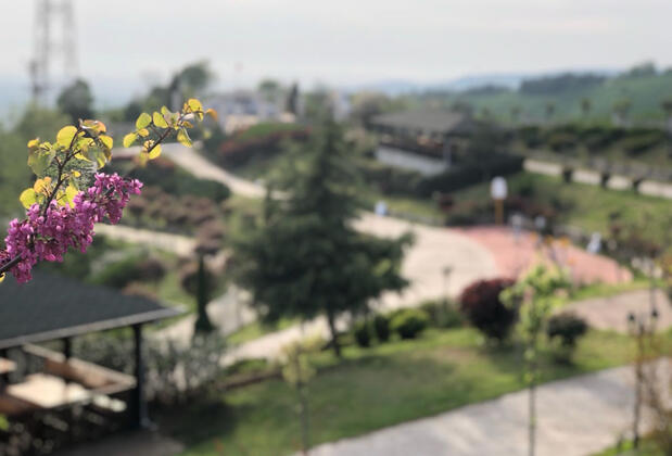 Seyir Terası Bungalow Hotel - Görsel 20