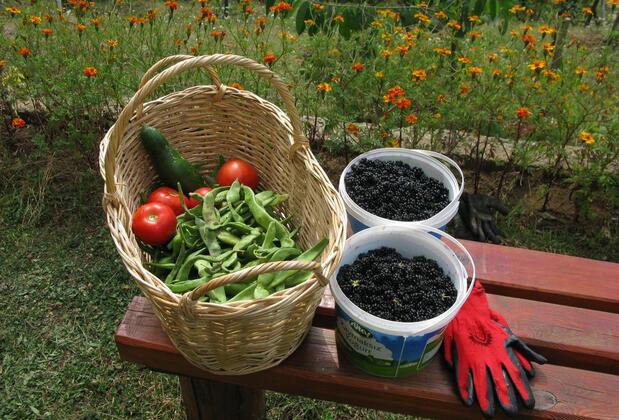 Ogzala Çiftliği Konaklama - Görsel 16