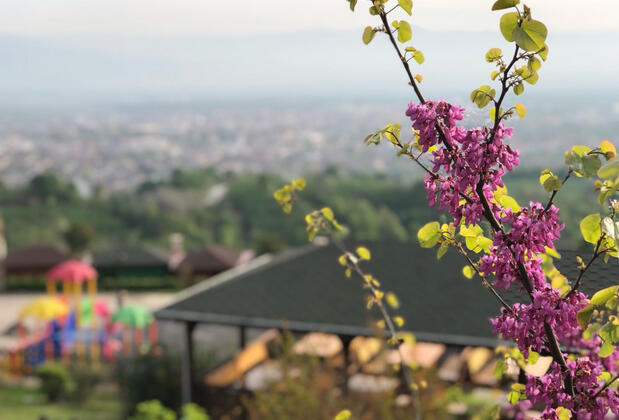 Seyir Terası Bungalow Hotel - Görsel 4
