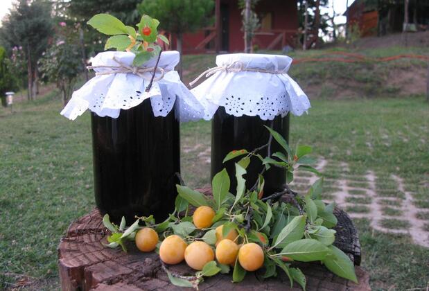 Ogzala Çiftliği Konaklama - Görsel 24