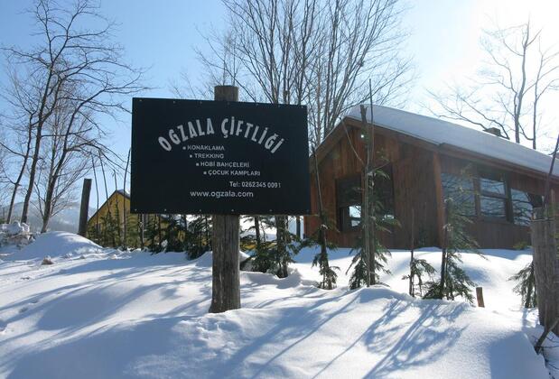 Ogzala Çiftliği Konaklama - Görsel 3