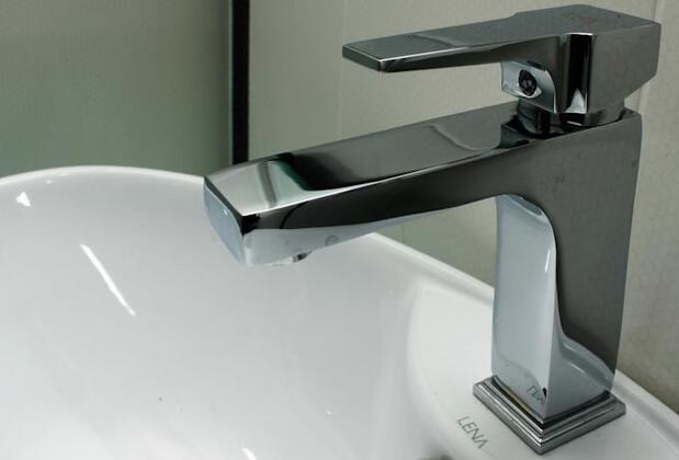 Leonard Abraham Residence - Görsel 21