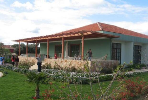 Green Dahlia - Görsel 17