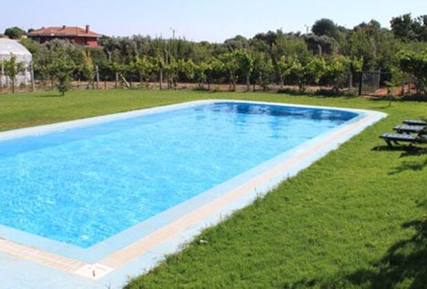 Green Dahlia - Görsel 5