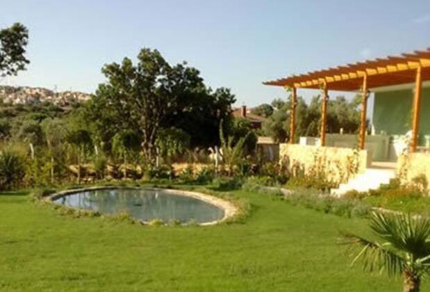 Green Dahlia - Görsel 18