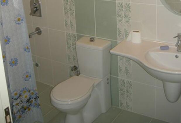 Green Dahlia - Görsel 12