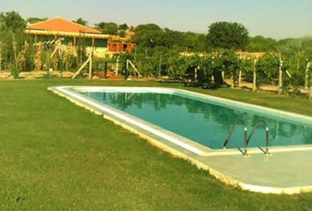 Green Dahlia - Görsel 4