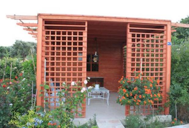 Green Dahlia - Görsel 13