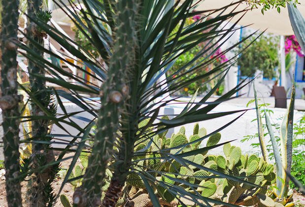 Mia Blu Otel - Görsel 11