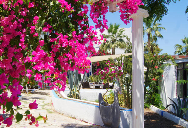 Mia Blu Otel - Görsel 21