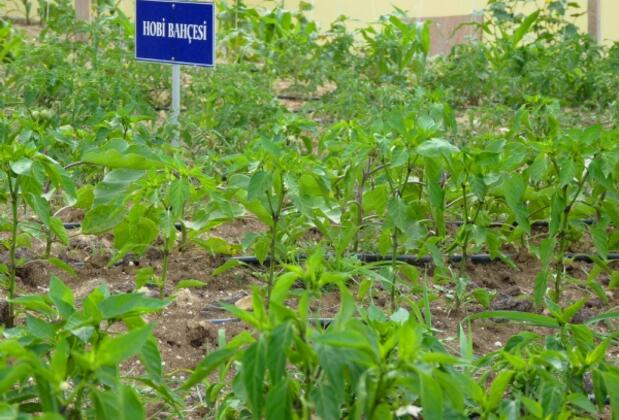 Heyamola Tatil Köyü - Görsel 19