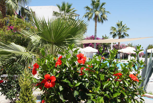 Mia Blu Otel - Görsel 9