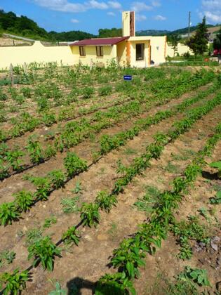 Heyamola Tatil Köyü - Görsel 27