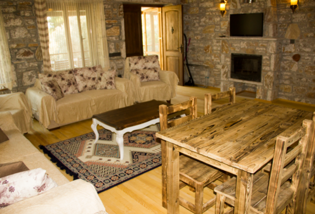 Villa Elit - Görsel 3