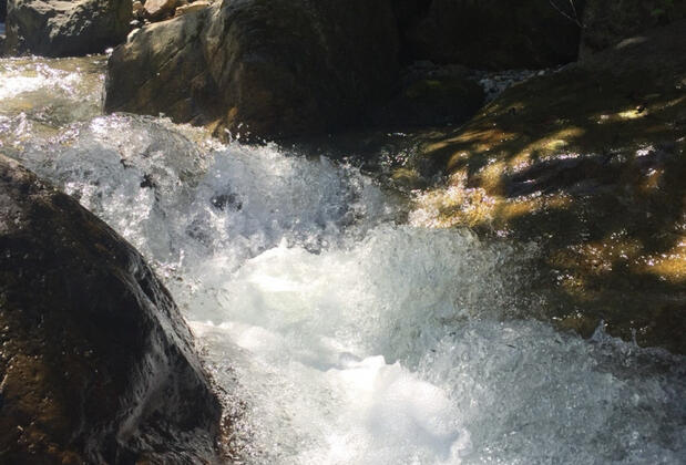 Fırtına Pansiyon - Görsel 14