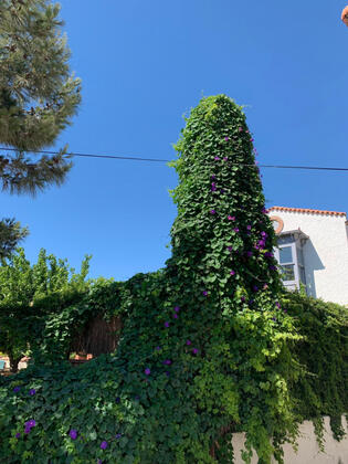 Dud Alaçatı Butik Otel - Görsel 15