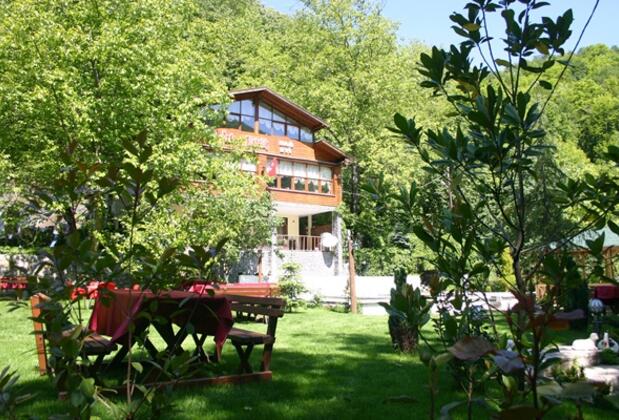 Özde Alabalık Dağ Evi - Görsel 8