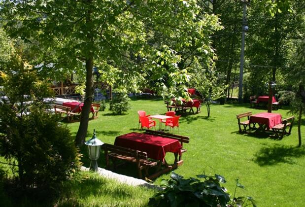 Özde Alabalık Dağ Evi - Görsel 9