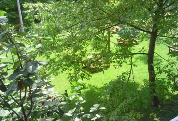 Özde Alabalık Dağ Evi - Görsel 12