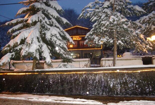 Özde Alabalık Dağ Evi - Görsel 30