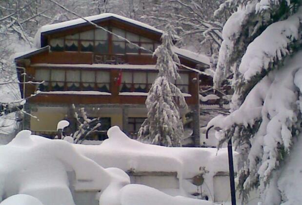 Özde Alabalık Dağ Evi - Görsel 16