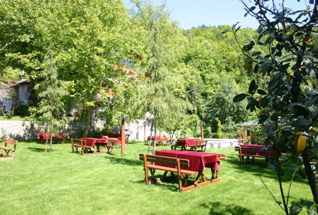 Özde Alabalık Dağ Evi - Görsel 13