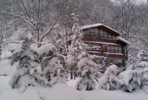 Özde Alabalık Dağ Evi - Görsel 21