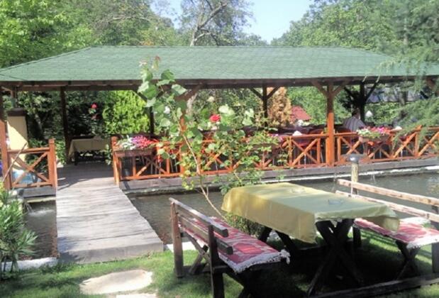 Özde Alabalık Dağ Evi - Görsel 25