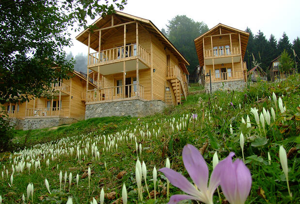 Zigana Yayla Tatil Köyü - Görsel 29