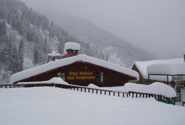 Doğa Harikası Pansiyon - Görsel 3