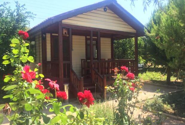 Secret Paradise Bungalow & Apartments - Görsel 16