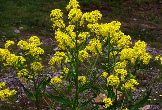 Hotel Taşkın - Görsel 17
