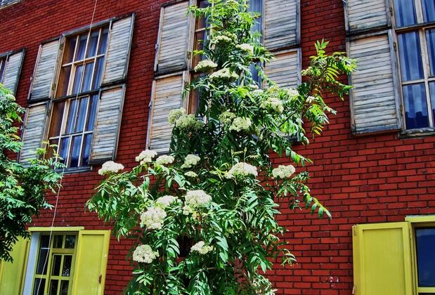 Hotel Taşkın - Görsel 16