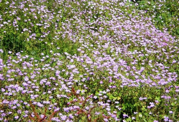 Hotel Taşkın - Görsel 30