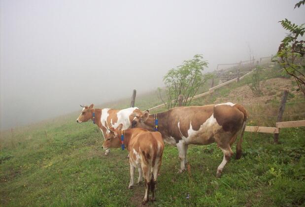 Hotel Taşkın - Görsel 8