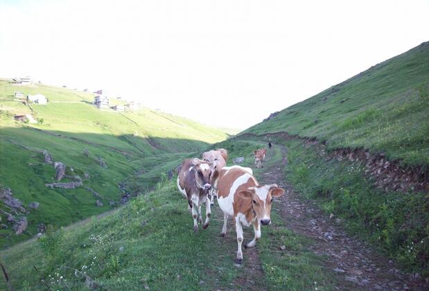 Hotel Taşkın - Görsel 31