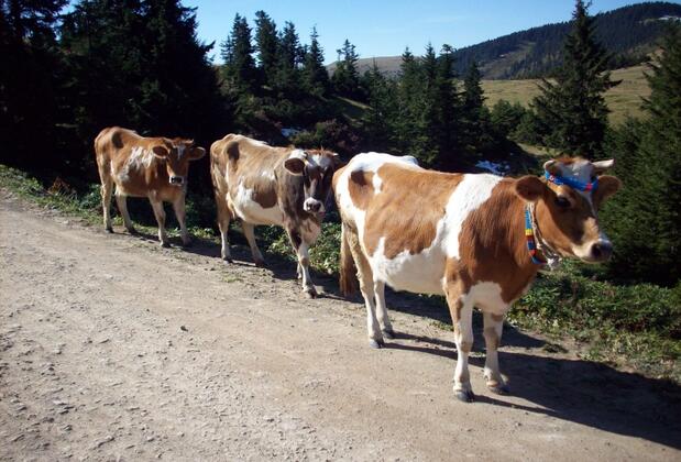 Hotel Taşkın - Görsel 18