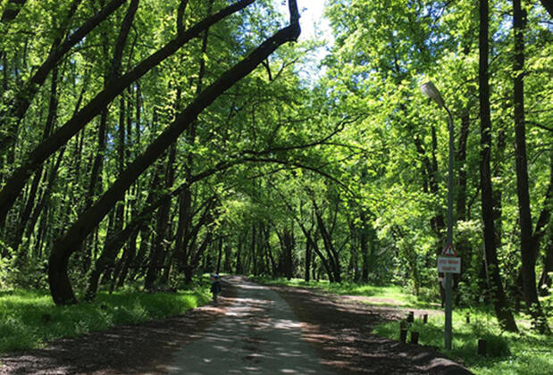 Günlüklü Camping Pansiyon - Görsel 10