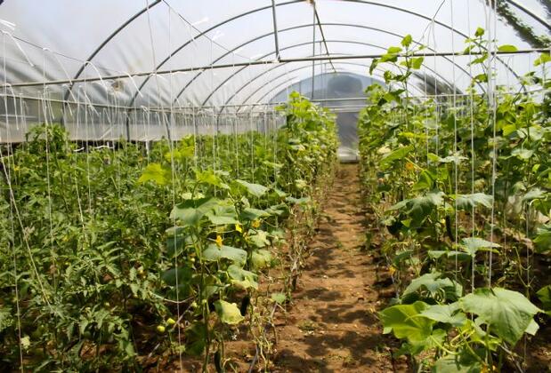 Çiçek Evler Tatil Köyü - Görsel 19